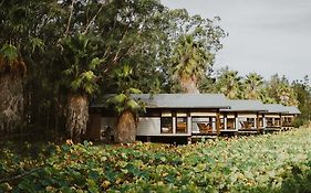 Leaves & Fishes - Private Group Escape In The Hunter Valley